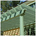 The green on this lattice pergola with round columns resembles the bronze patina of ancient Greek sculpture.
